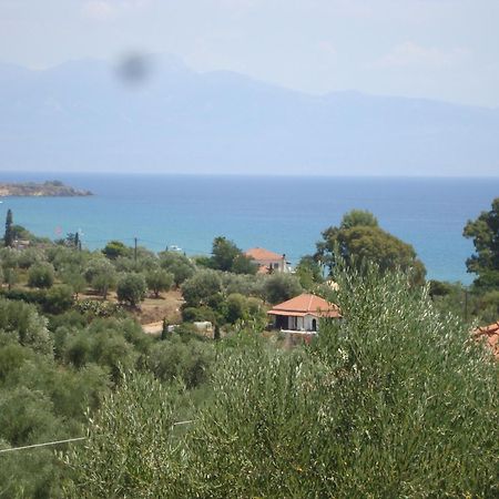 Villa Carisma Λιβαδάκια Εξωτερικό φωτογραφία